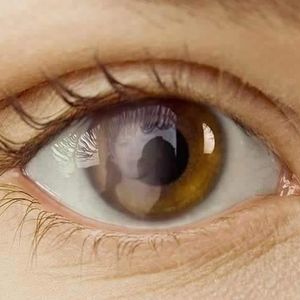 Meet your Posher, Eva